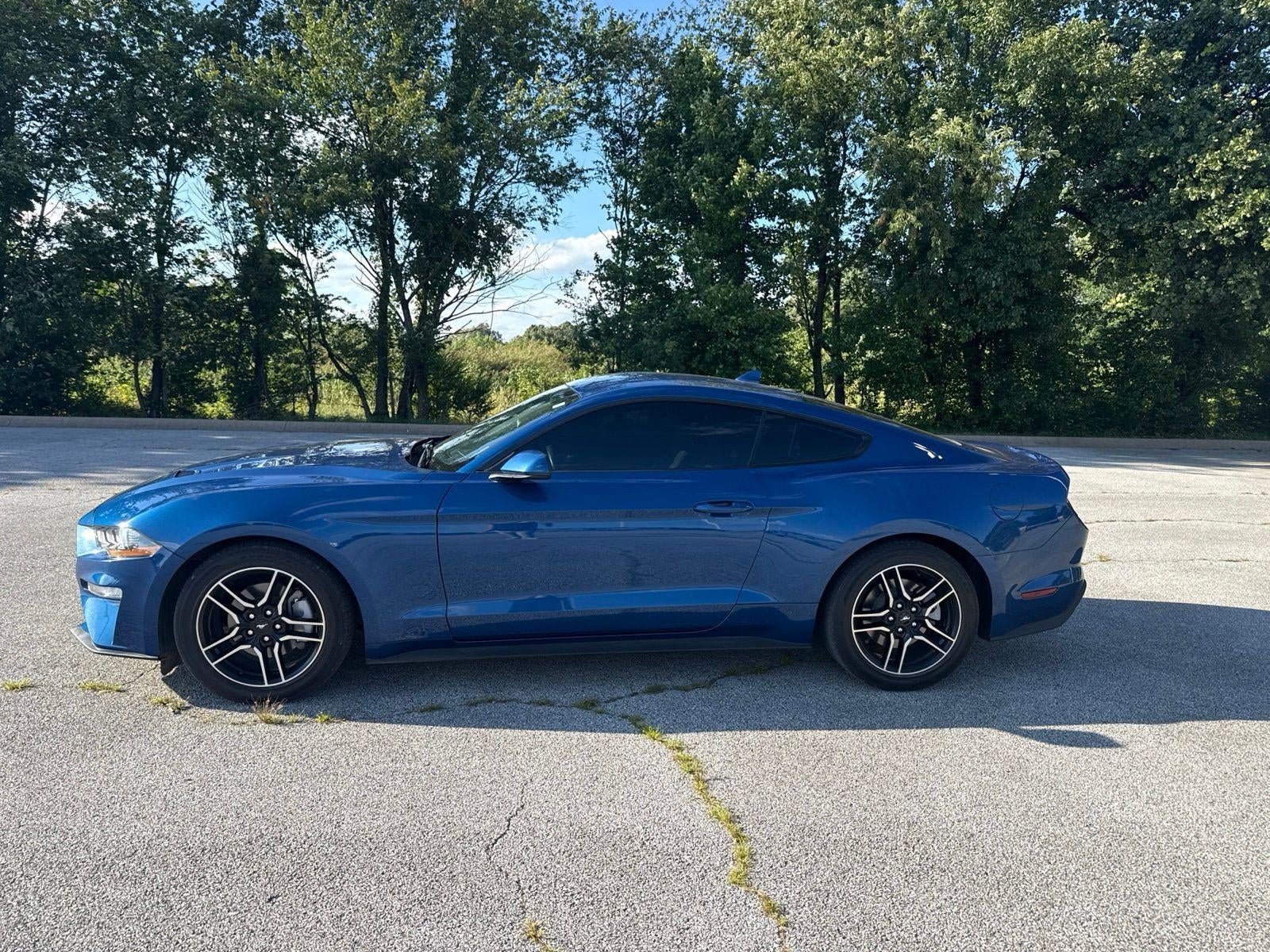2023 Ford Mustang EcoBoost Fastback