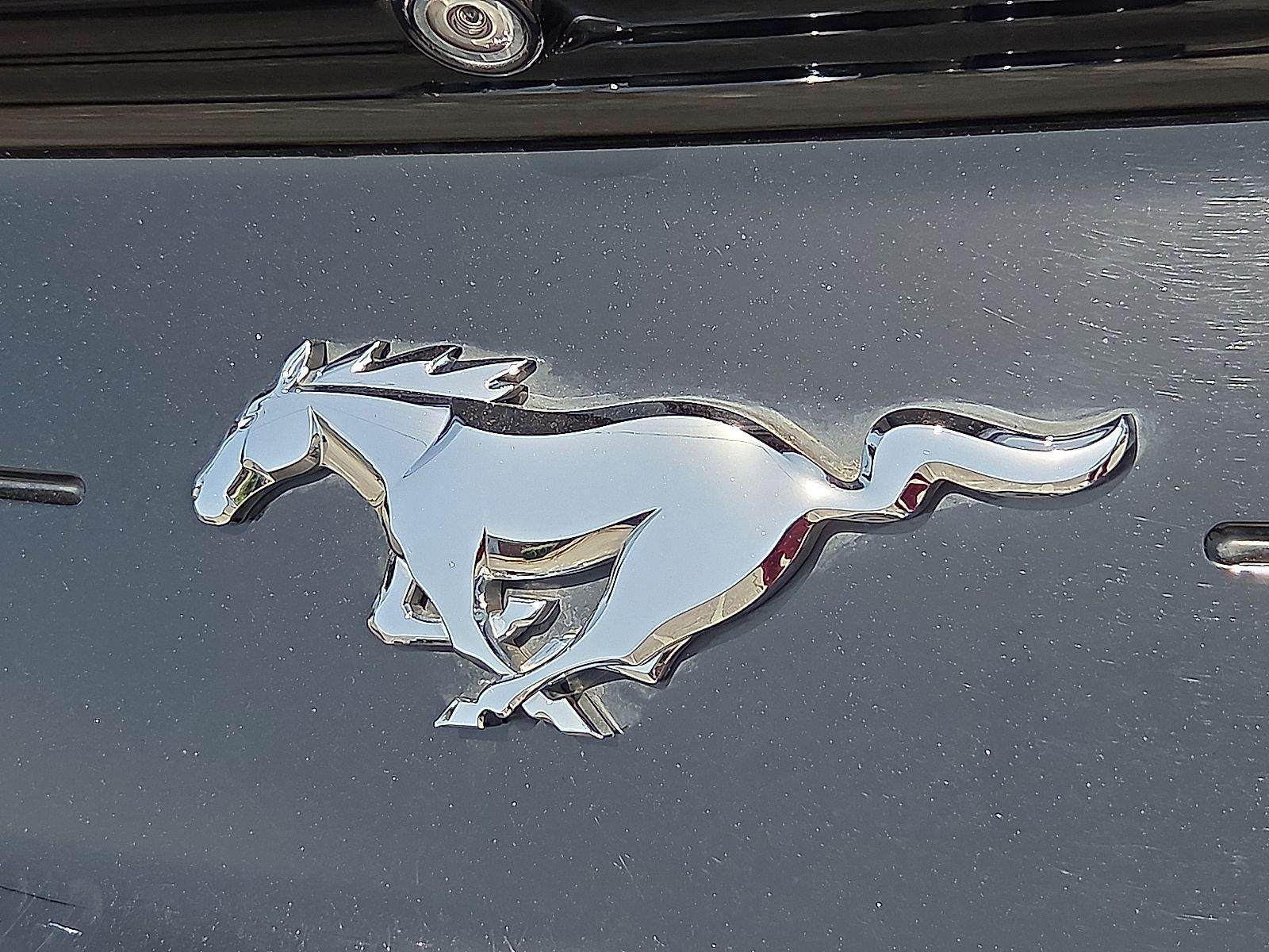 2023 Ford Mustang EcoBoost Fastback
