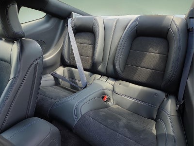 2024 Ford Mustang Dark Horse