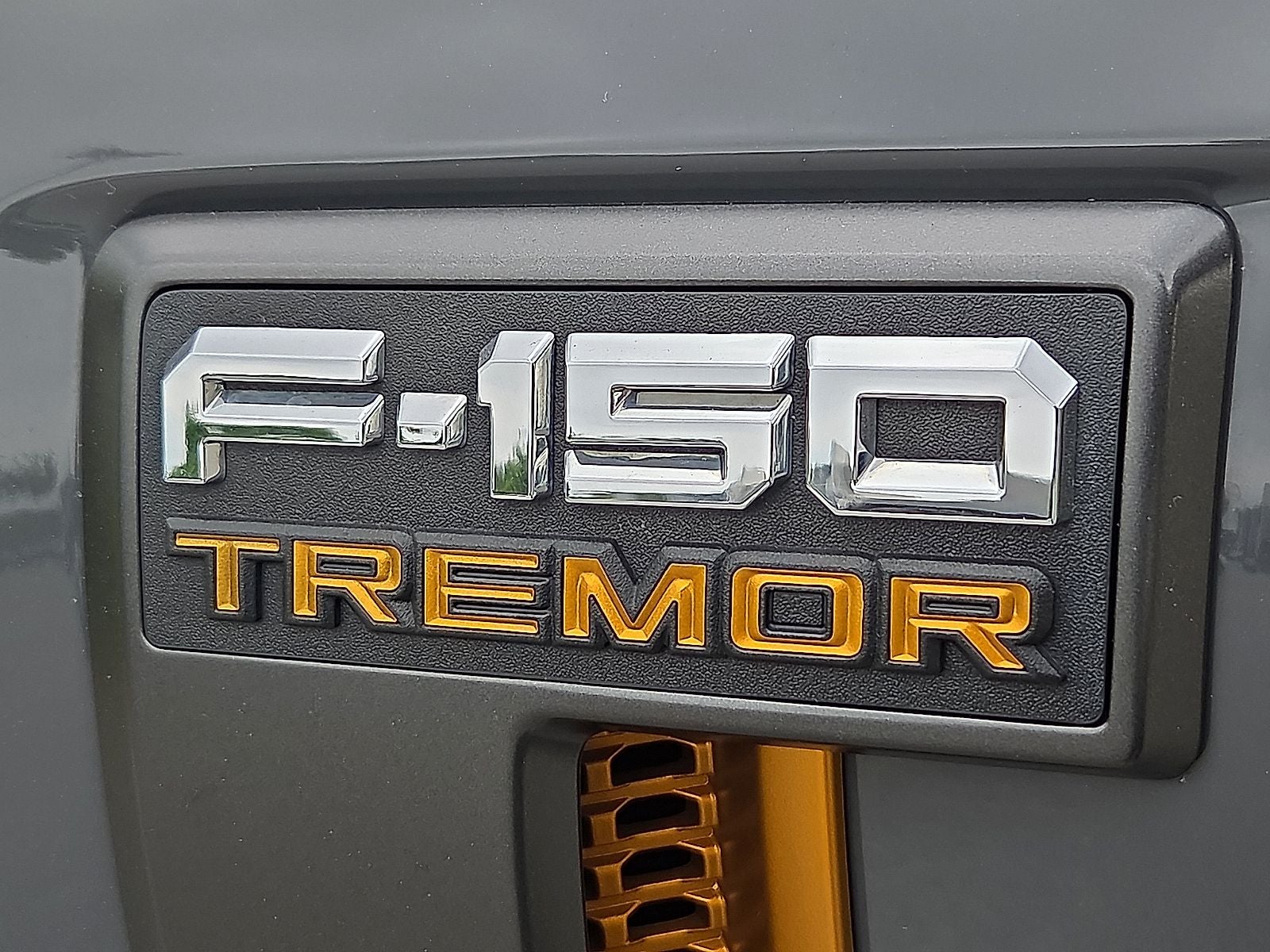2021 Ford F-150 Tremor