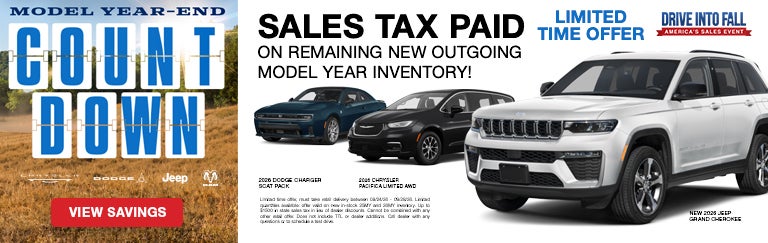 Model Year End Count Down
